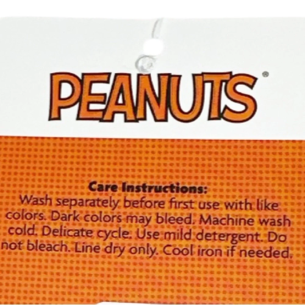 NEW Peanuts PUMPKIN SPICE AND EVERYTHING NICE Kitchen Towel Set/2